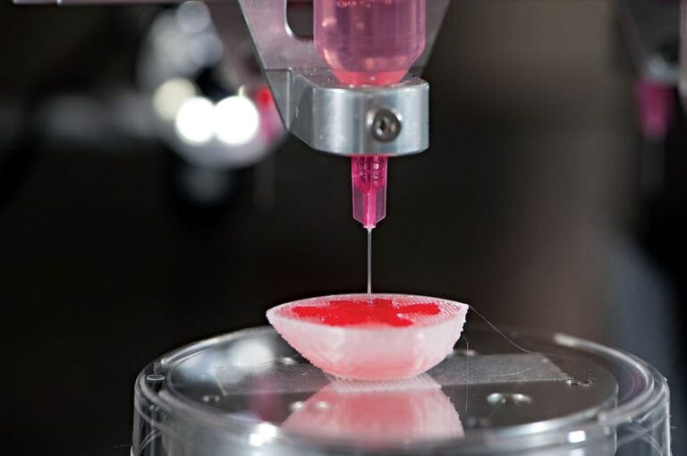 Wegovy Profits Fuel Novo Holdings’ Ambitious 3D Bioprinting Ventures