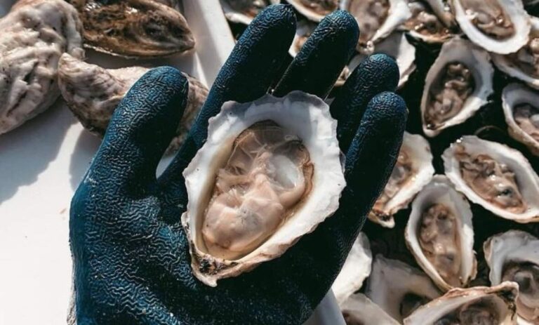 Merrymeeting Shellfish Company 3D Prints Oyster Pods