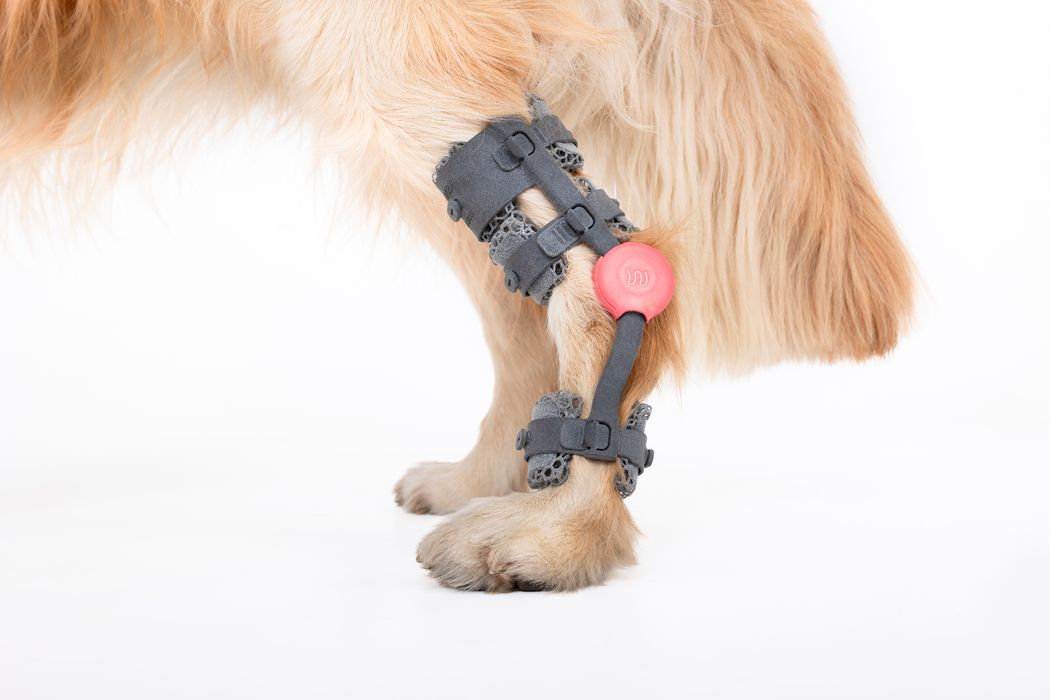 WIMBA Expands Pet Prosthetic Services with In-House 3D Printing Technology