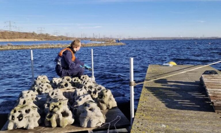 Coastruction is on a Mission to Save Coral Reefs with 3D Printing